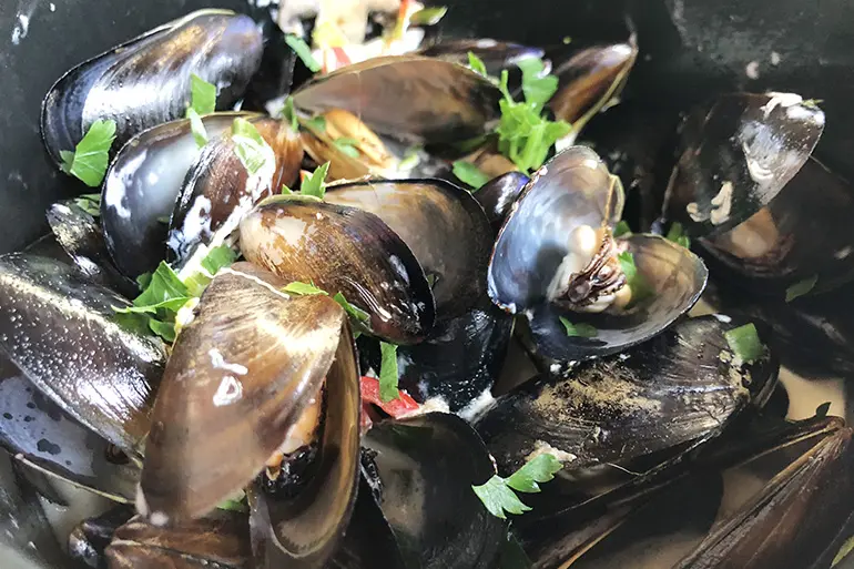 midye7 tencere midye bodrum